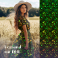 Preview: Bio Viskosejersey mit Überbreite: Eigenproduktion Velvet Blossom green (Bordüre) von Graustufen-Stoffe